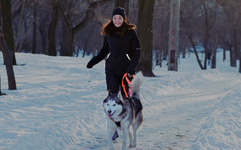 Eine Frau läuft mit einem Husky auf einem verschneiten Weg
